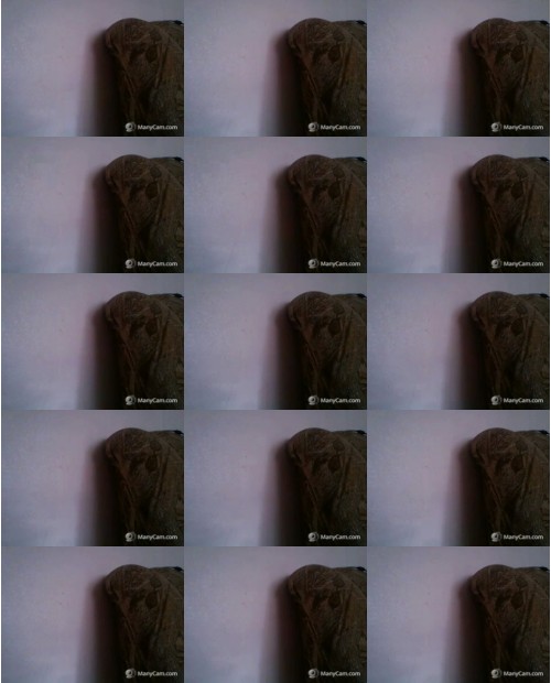 Download Video File: myfreecams misslon