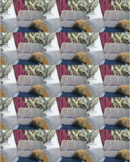 Download Video File: myfreecams prettydolle