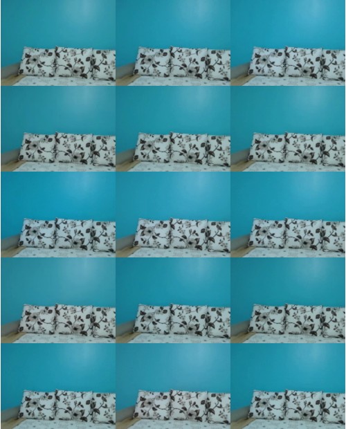 Download Video File: myfreecams anna russo