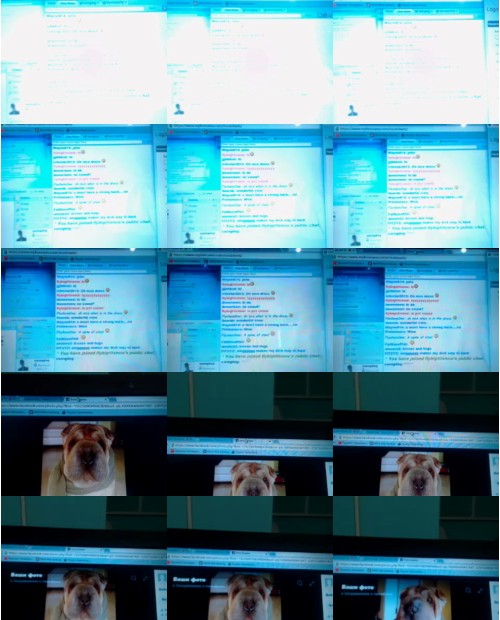 Download Video File: myfreecams flybigtitsnow