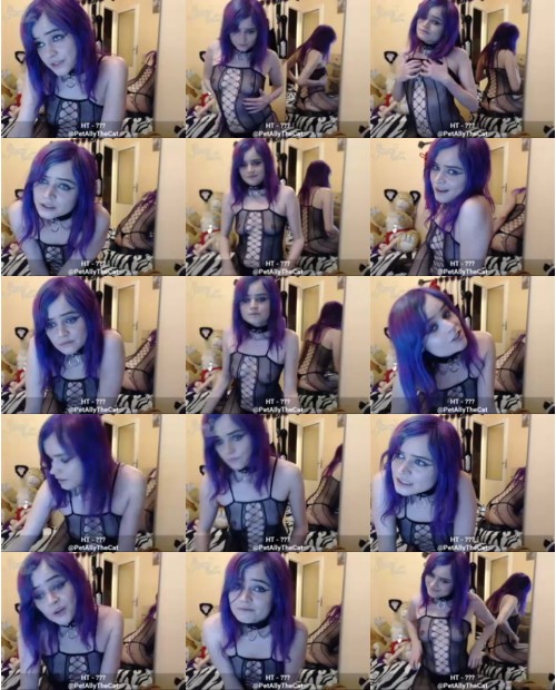 Download Video File: myfreecams allythecat