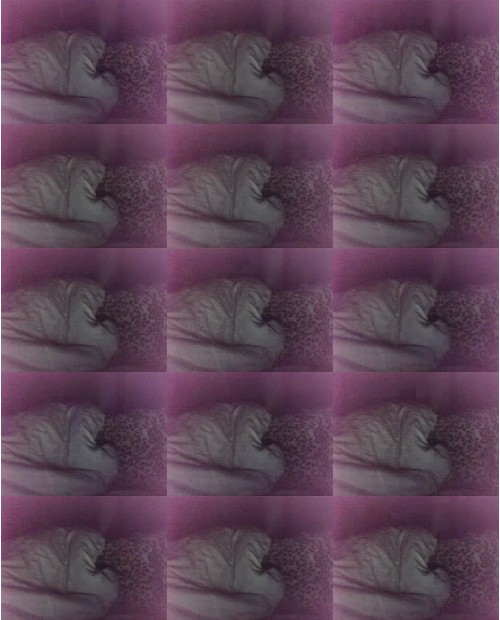 Download Video File: myfreecams arinagutekiss