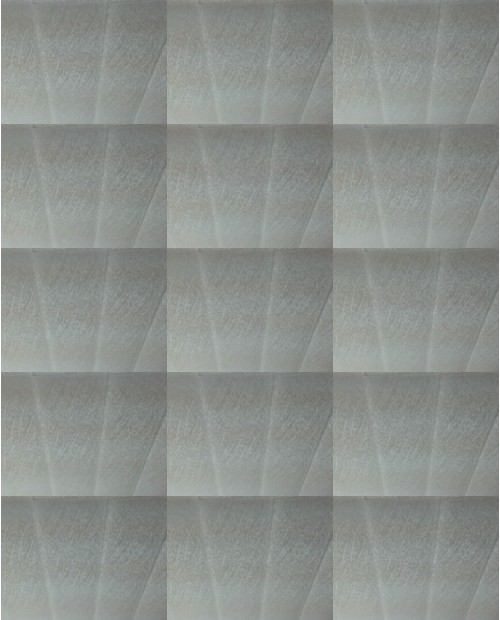 Download Video File: myfreecams andy diamond