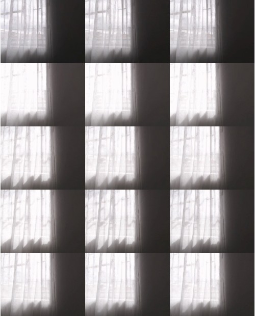 Download Video File: myfreecams chantal jess