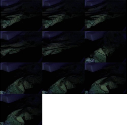 Download Video File: myfreecams jasmina922