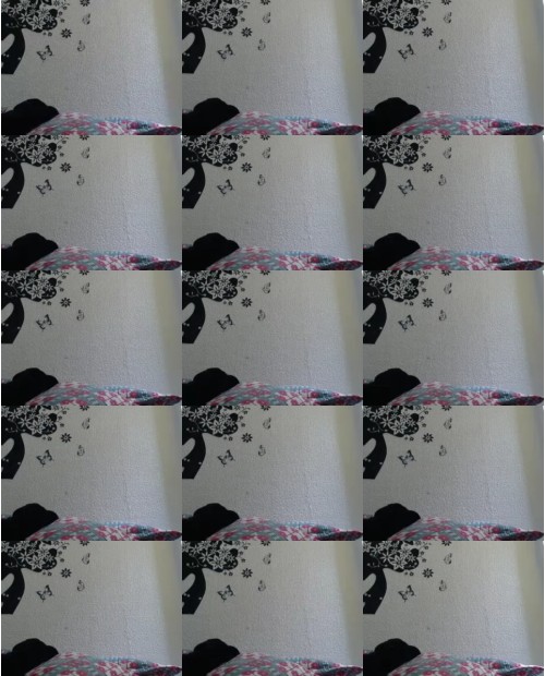 Download Video File: myfreecams kattyqueen55