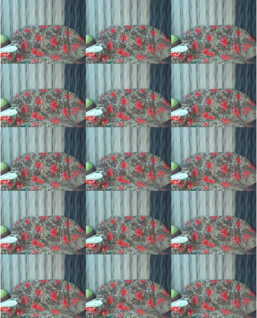 Download Video File: myfreecams karolina  