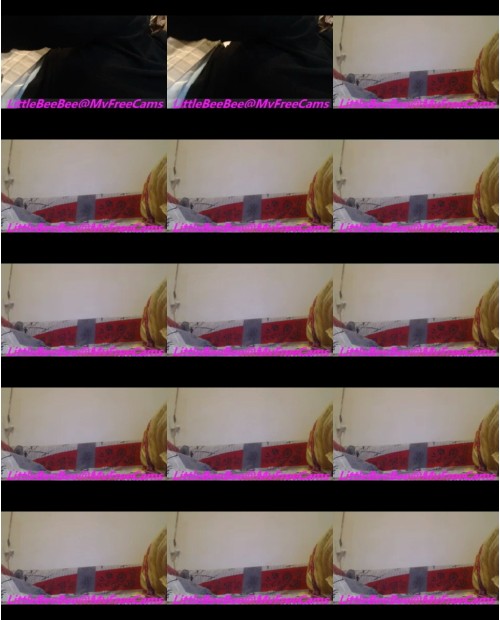 Download Video File: myfreecams littlebeebee