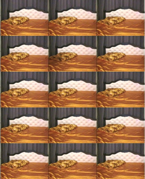 Download Video File: myfreecams nataliehotfor