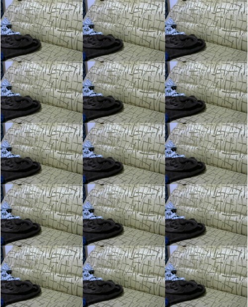 Download Video File: myfreecams dream tiime