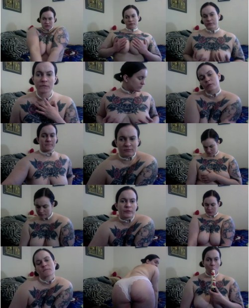 Download Video File: myfreecams bar belle