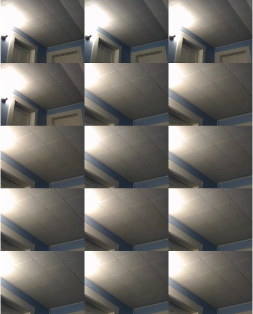 Download Video File: myfreecams cjmonroe77