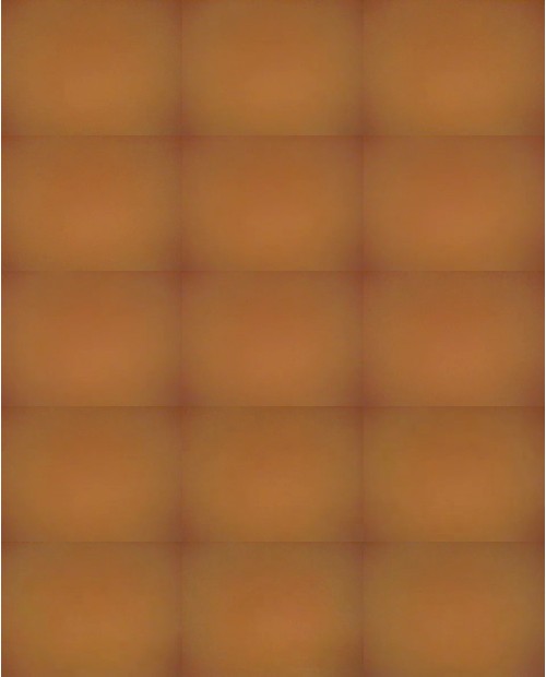 Download Video File: myfreecams evy moor