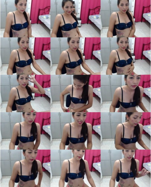 Download Video File: myfreecams nicol16x