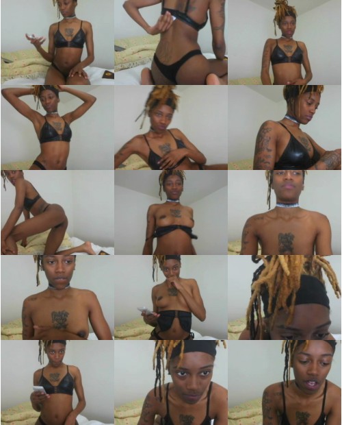 Download Video File: myfreecams wildcard52