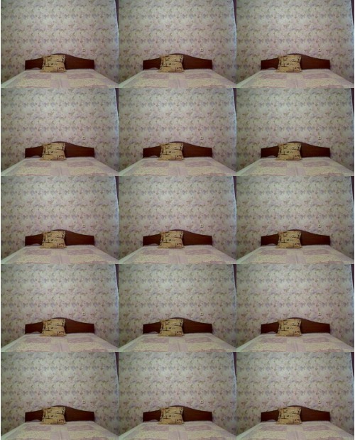 Download Video File: myfreecams sky foxy