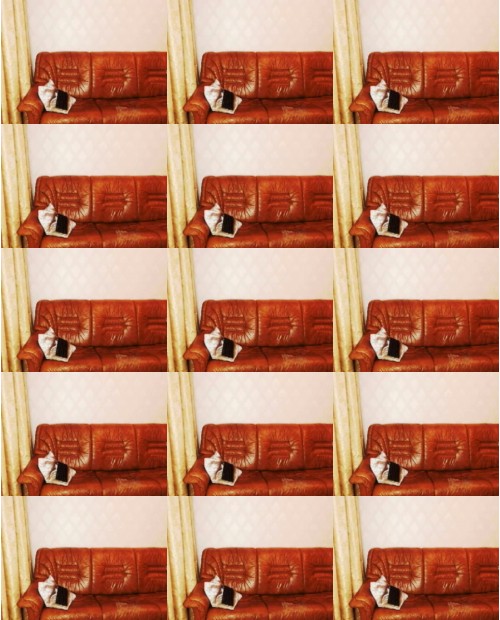 Download Video File: myfreecams katelinjuli