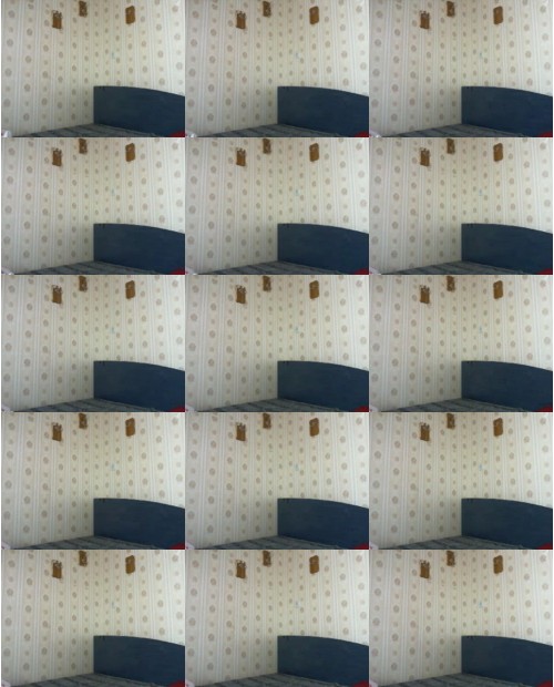 Download Video File: myfreecams djangelheart