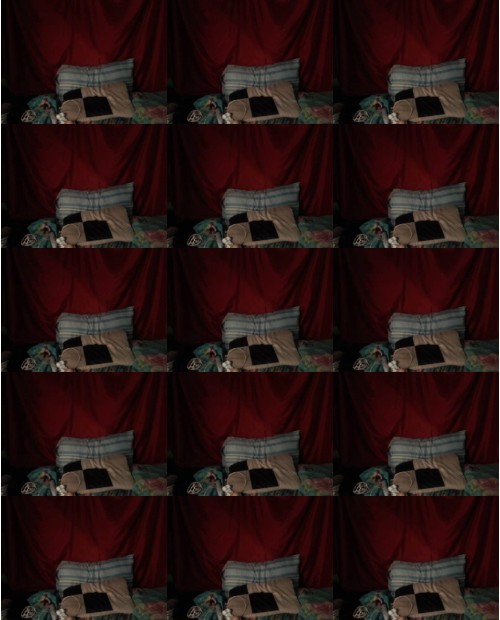 Download Video File: myfreecams glodes